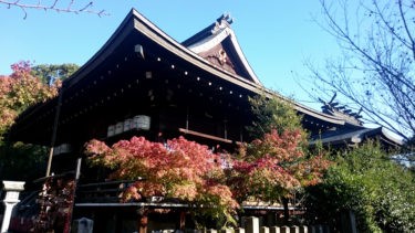 京都 21年4月限定御朱印がいただける神社 神社巡り