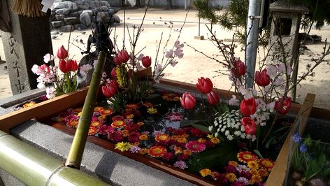 三津厳島神社の花手水