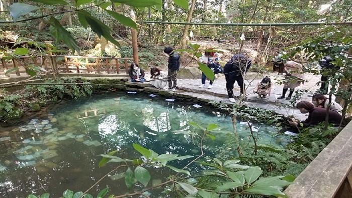 八重垣神社の鏡の池②