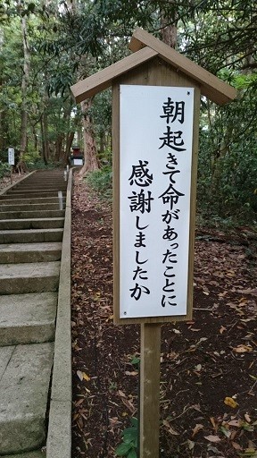 白濱神社本殿へ続く階段その3