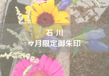 石川7月のｱｲｷｬｯﾁ画像