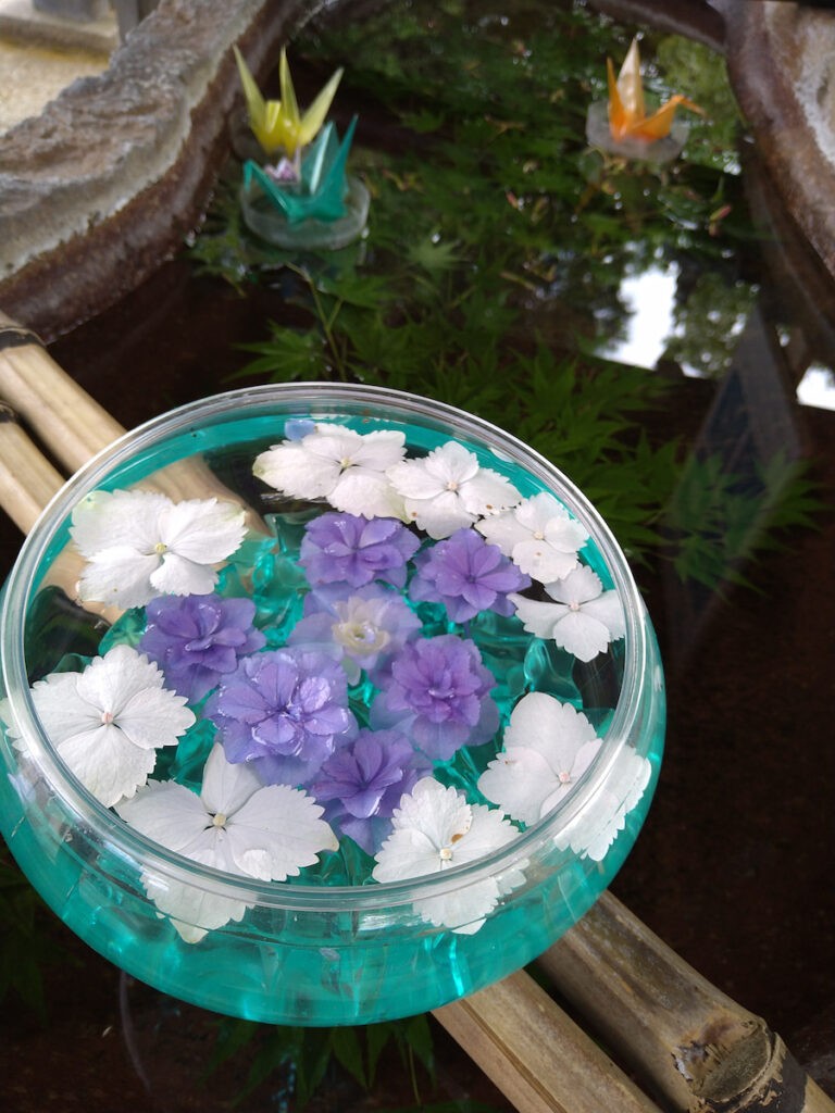 吉野神宮手水舎の夏のお花