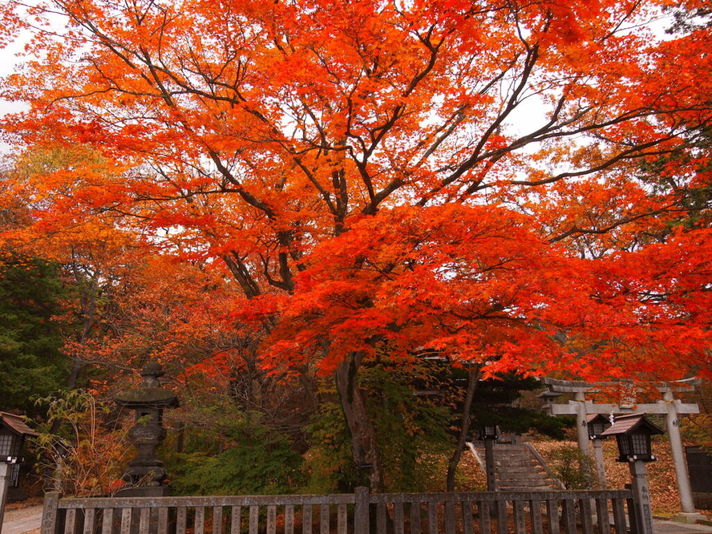 那須温泉神社立見神社の紅葉