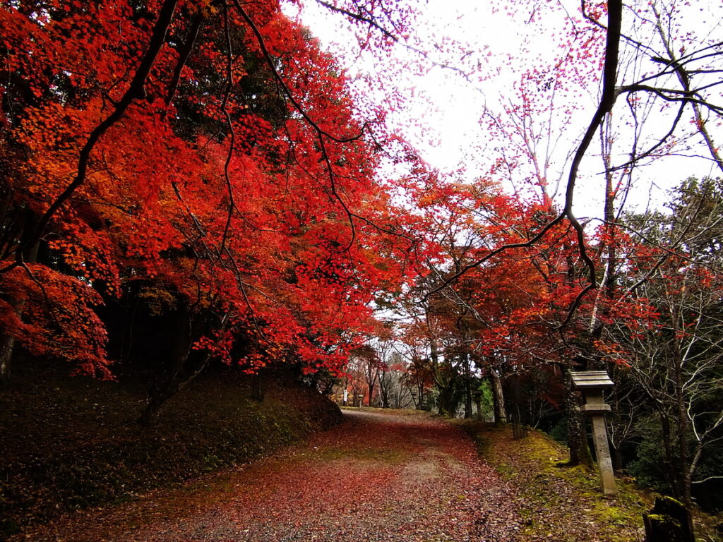 吉野神宮の秋の参道その2