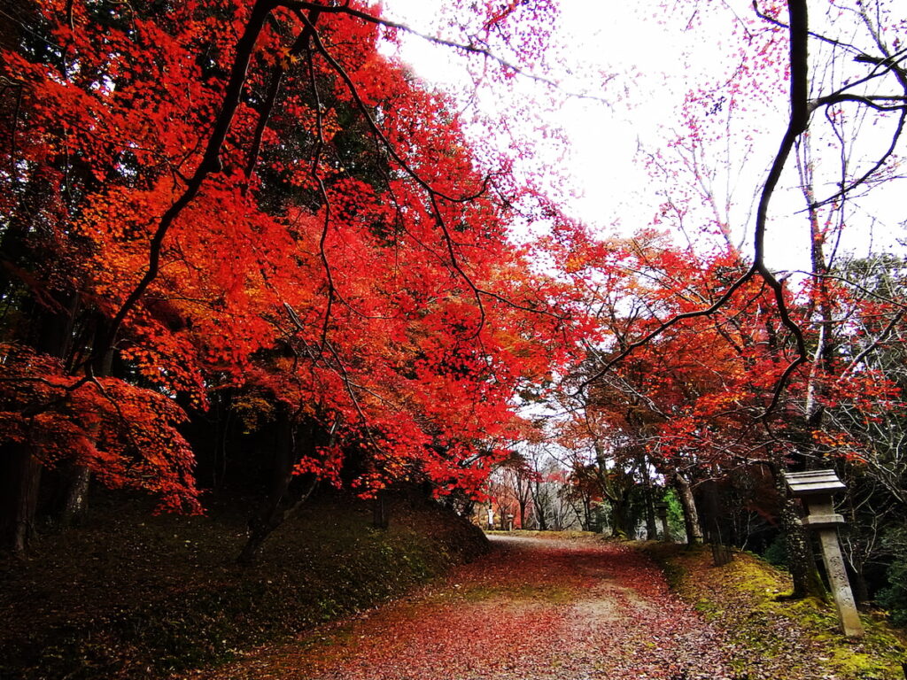 吉野神宮の秋の参道その5