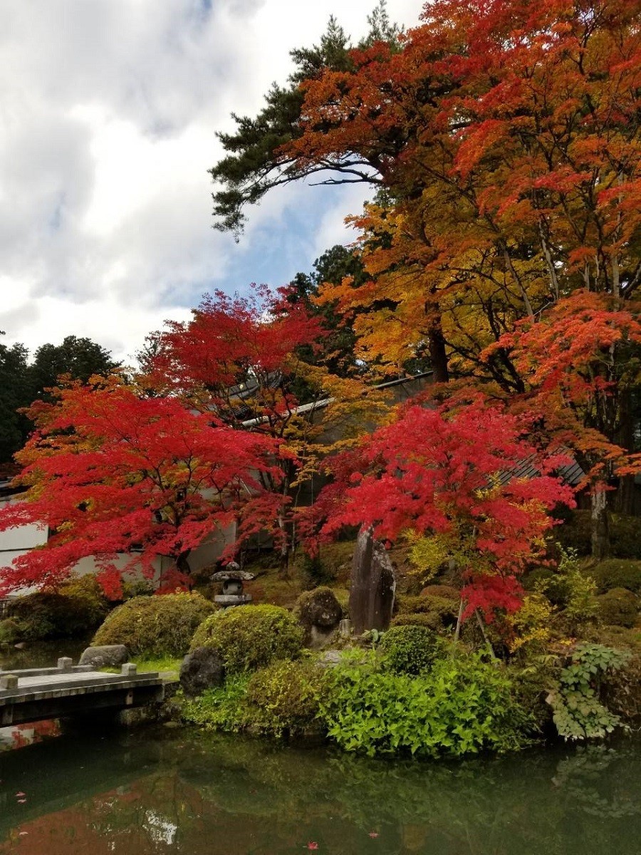 日光二荒山神社周辺の紅葉の写真