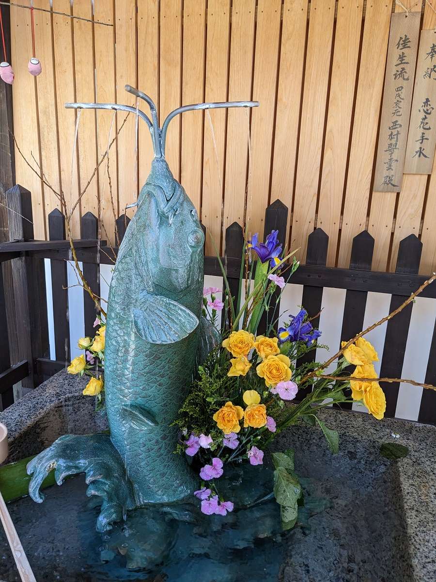 北野天満神社の叶い鯉