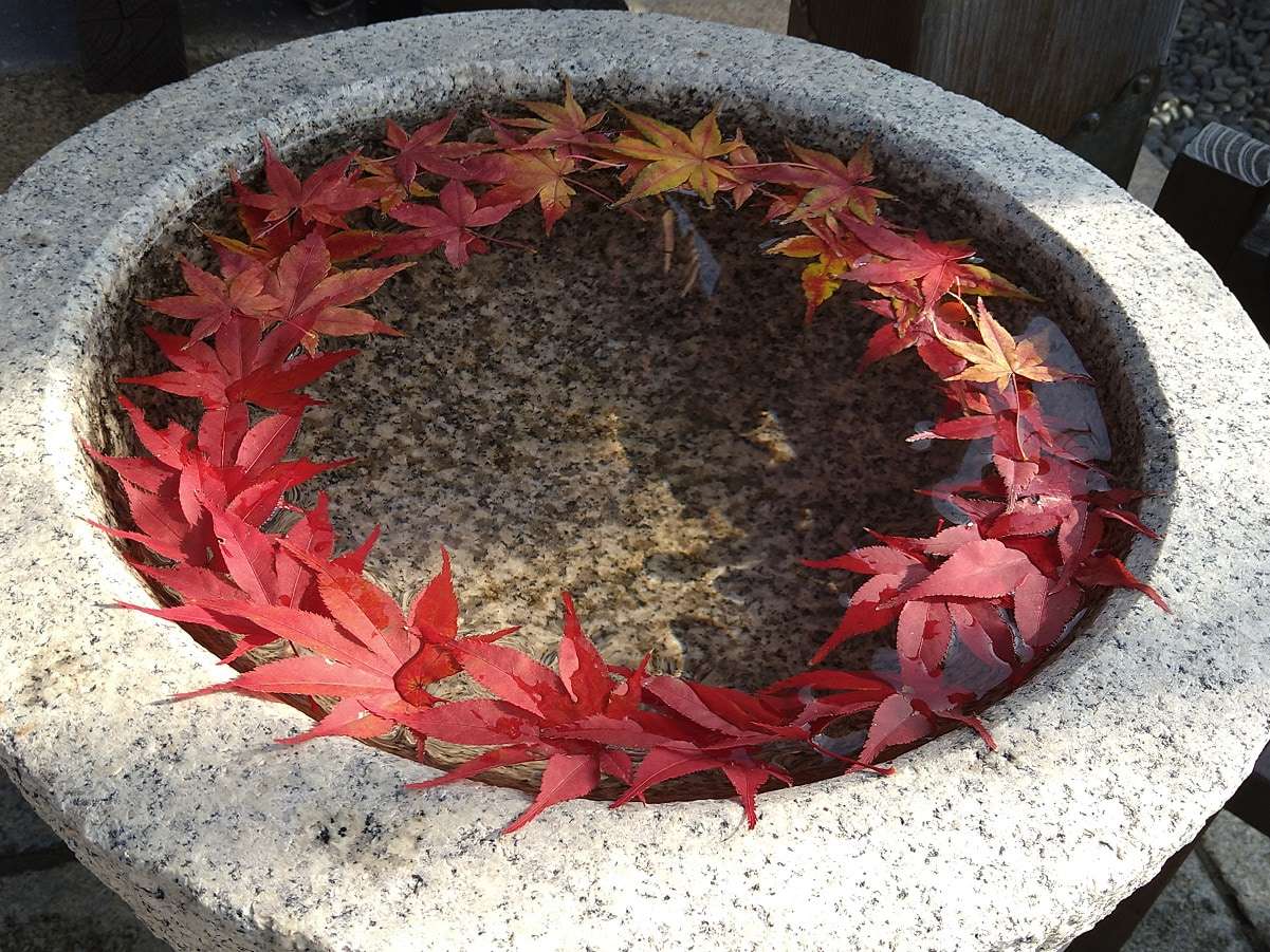 北野天満神社の紅葉が綺麗な手水舎